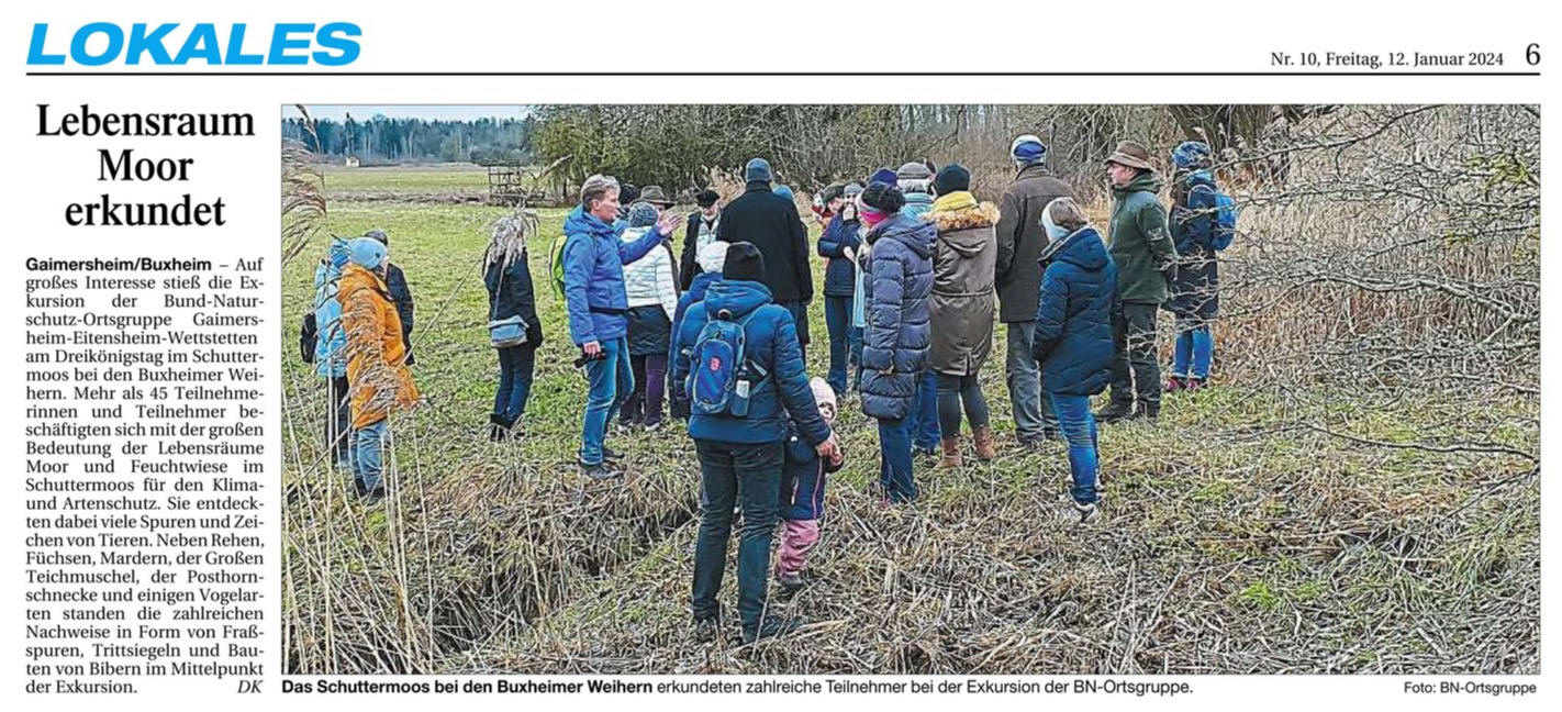 Gaimersheim/Buxheim – Auf großes Interesse stieß die Exkursion der Bund-Naturschutz-Ortsgruppe Gaimersheim-Eitensheim-Wettstetten am Dreikönigstag im Schuttermoos bei den Buxheimer Weihern. Mehr als 45 Teilnehmerinnen und Teilnehmer beschäftigten sich mit der großen Bedeutung der Lebensräume Moor und Feuchtwiese im Schuttermoos für den Klima- und Artenschutz. Sie entdeckten dabei viele Spuren und Zeichen von Tieren. Neben Rehen, Füchsen, Mardern, der Großen Teichmuschel, der Posthornschnecke und einigen Vogelarten standen die zahlreichen Nachweise in Form von Fraßspuren, Trittsiegeln und Bauten von Bibern im Mittelpunkt der Exkursion. DK